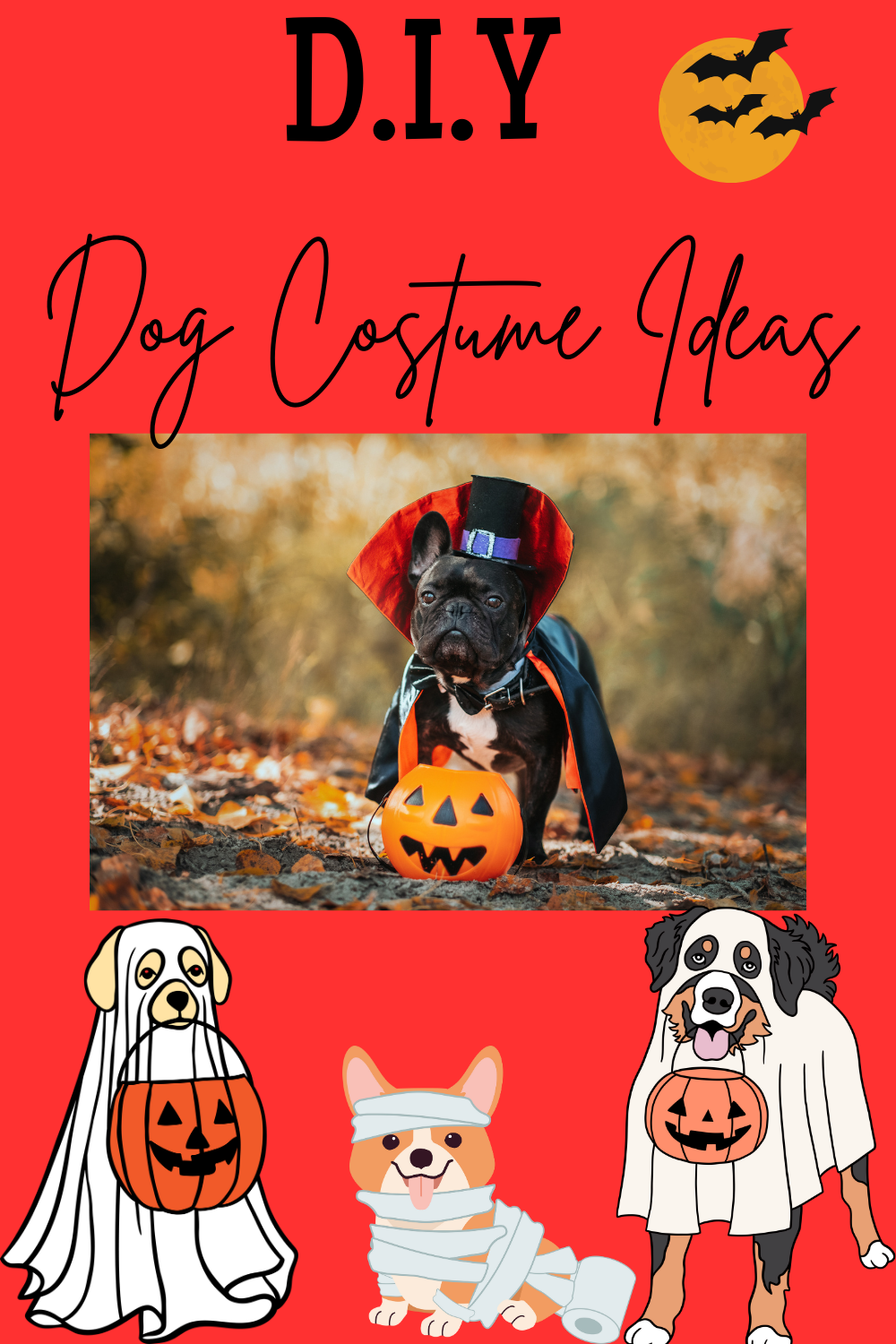 DIY Halloween Dog Costume Ideas